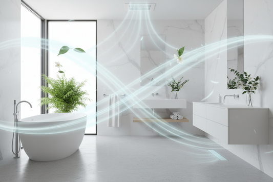 Natural Small-Space Odor Solutions for Home, Car, and Closet