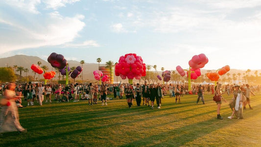 2026 Coachella‘s Most Awkward Celebrity Fails Share a Secret with Your Car