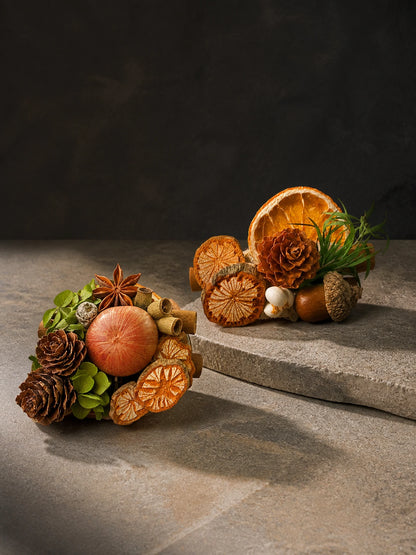 Botanical Citrus car vent garden styles on a clean studio background