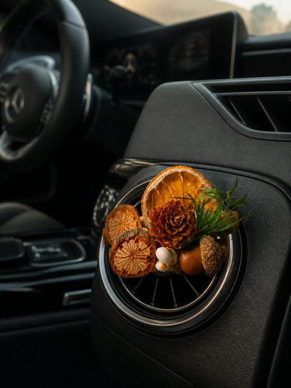 Citrus Grove car vent garden installed on a Mercedes-Benz vent