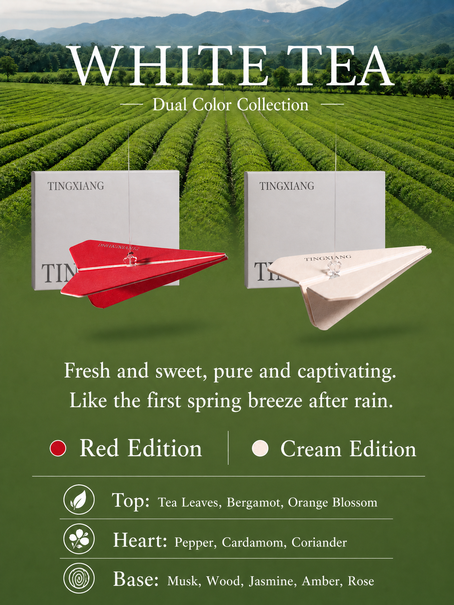 White Tea scented paper plane air freshener