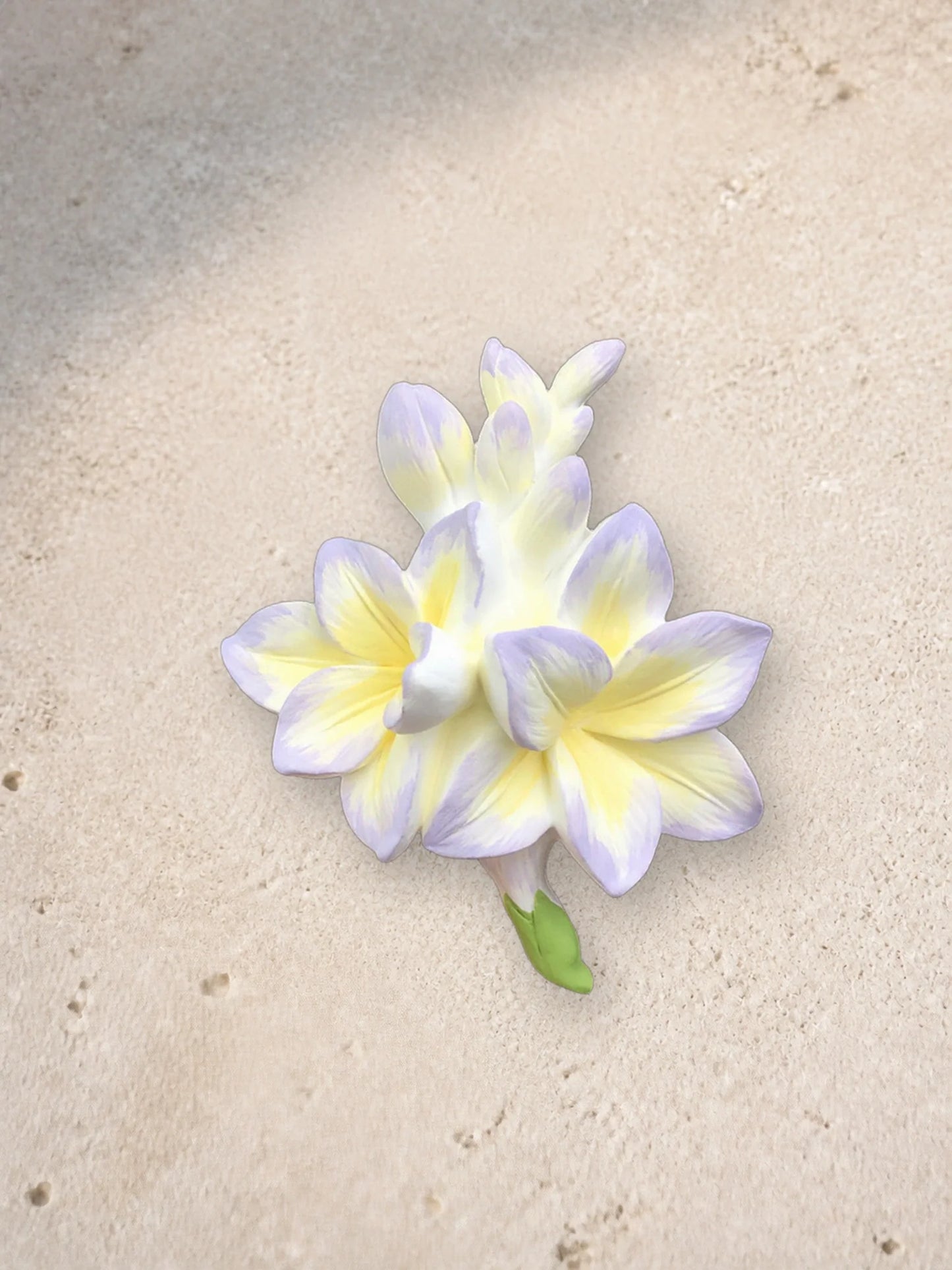 Close detail of cream petals, pale yellow centers and fine lavender edges