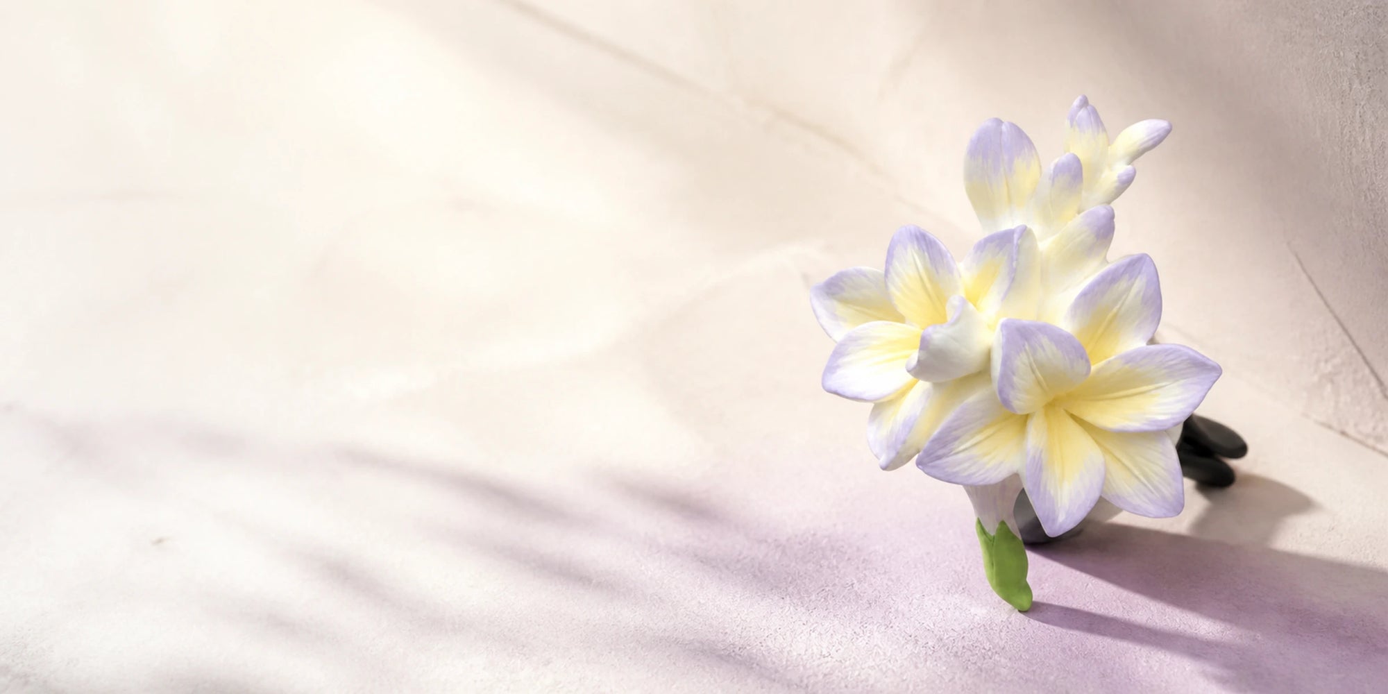 Freesia Bloom car vent ornament editorial banner