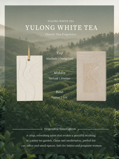 Yulong White Tea fresh clean scented gypsum air freshener