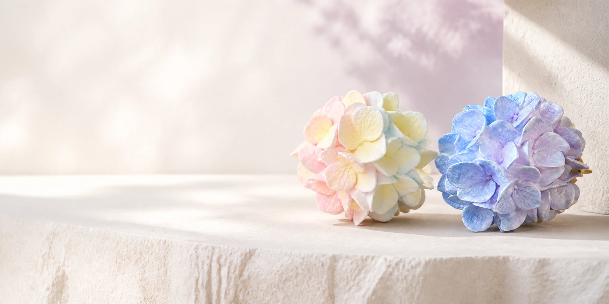 Hydrangea Bloom car vent ornament editorial banner