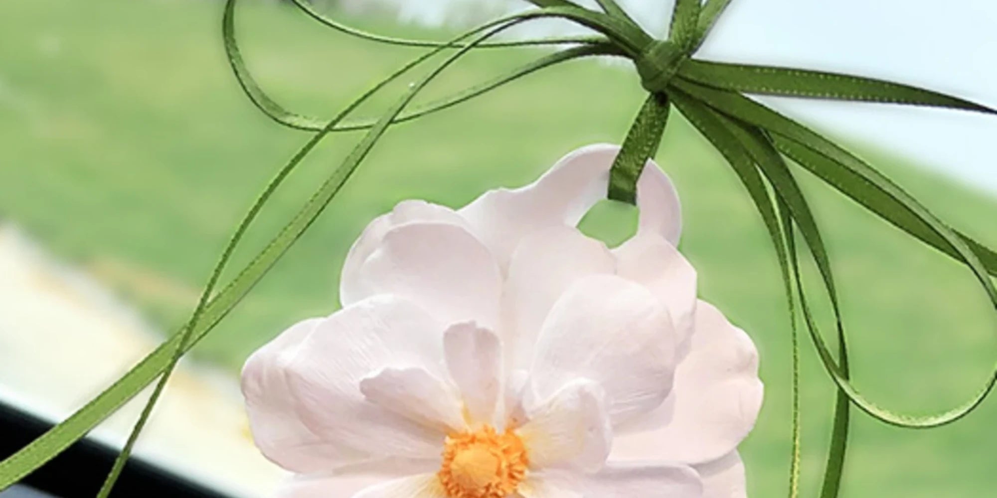 Peony Ribbon editorial collection banner
